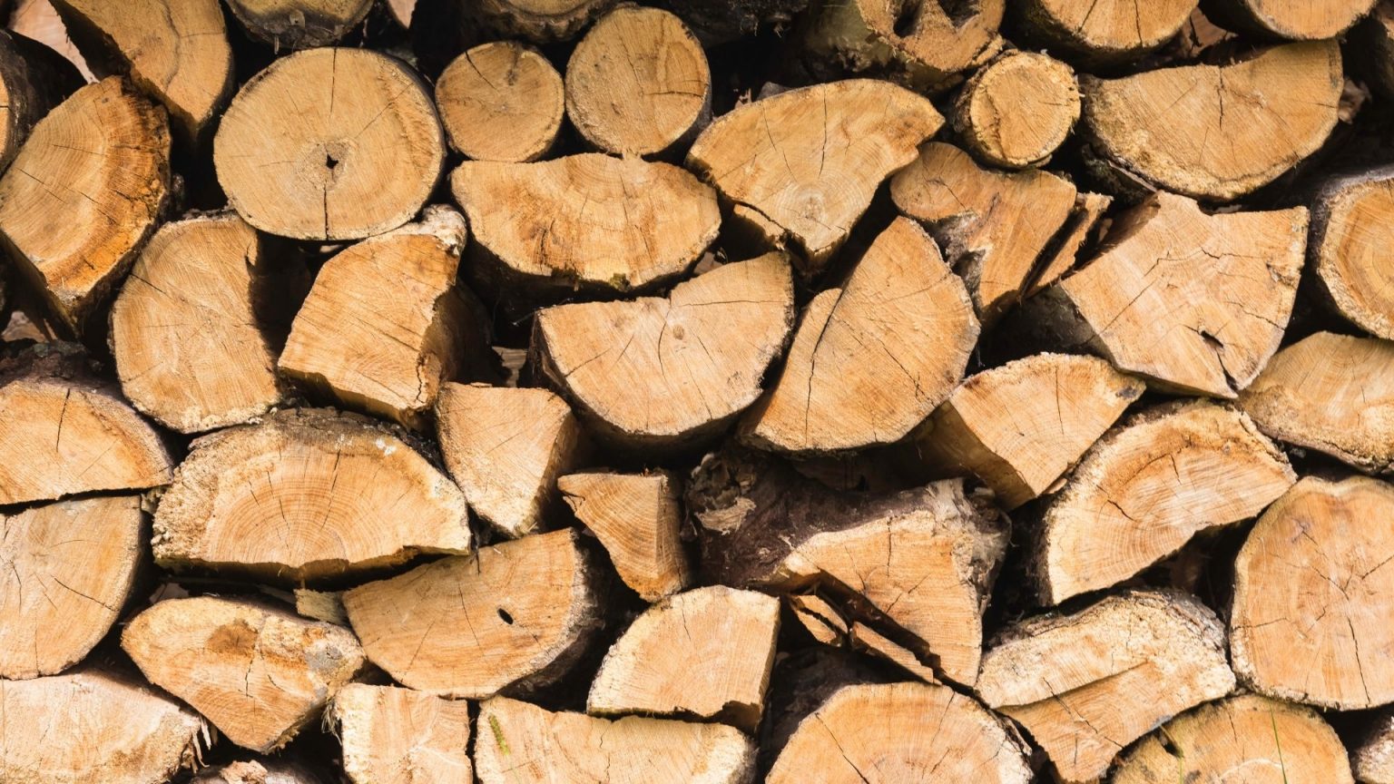 fresh cut wood Ohio Wood Burner